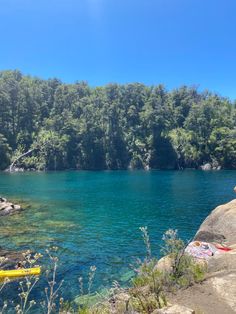 the water is very blue and green with trees in the background