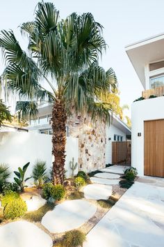 a palm tree in front of a house