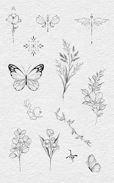 various flowers and butterflies drawn on paper