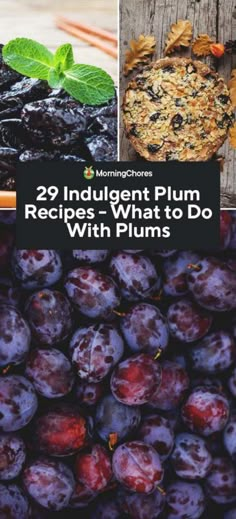 plums with the title 29 indulvy plum recipes what to do with plums