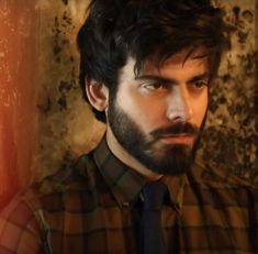 a man with a beard wearing a plaid shirt and black tie in front of a grungy wall