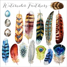 watercolor feathers on a white background with the words,'whatever feathers are here '