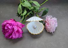 pink peonies and two seashells on the ground