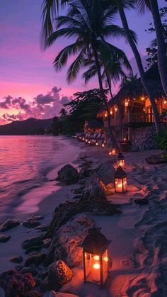 lanterns lit up on the beach at dusk with palm trees and water in the background