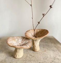 two small mushrooms sitting on top of a table