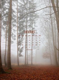 a desktop calendar with the word october on it is surrounded by trees and fallen leaves