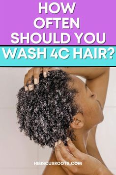 How Often Should Black Women Wash Their Hair, How To Style Short Coily Hair, Best Shampoo For Natural 4c Hair, Hydrate 4c Natural Hair, How To Wash Natural Hair Black, How To Soften 4c Hair Natural, How To Take Care Of 4b Natural Hair, Washing 4c Hair Routine, How To Wash Natural Hair