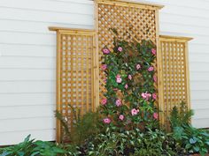 a white house with some plants and flowers in the front yard, next to it is a trellis