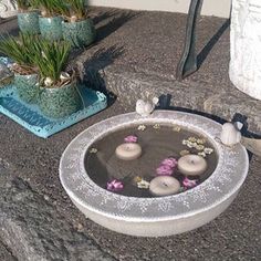 there is a bowl with flowers in it on the ground next to some rocks and plants