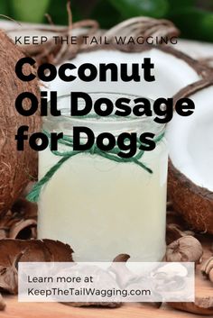 coconut oil dosage for dogs