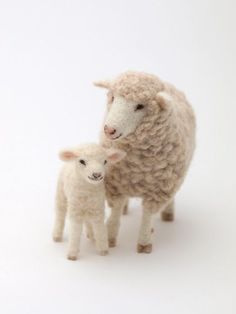 two sheep standing next to each other on a white surface