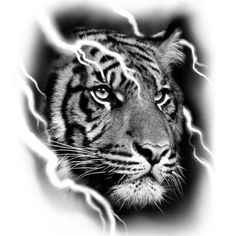 a black and white photo of a tiger's face with lightning streaks around it