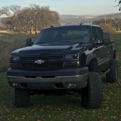 a black truck parked in the grass near trees