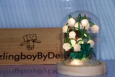 a glass dome with white flowers in it and a wooden box on the wall behind it