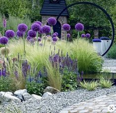 a garden with purple flowers and grass in the foreground, surrounded by rocks and gravel