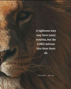 a lion's face with a bible verse on it