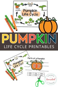 pumpkin life cycle printables for kids