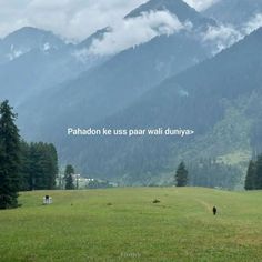 two horses grazing in a field with mountains in the background