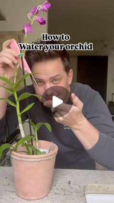 a man holding up a flower in front of his face with the words how to water your orchid