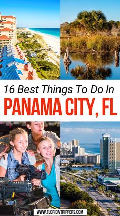 16 Best Things To Do In Panama City, Florida What To Do In Panama, Things To Do In Panama, Swim With Dolphins, Panama City Florida, Panama City Beach Florida, Scuba Dive, Visit Florida, Free Things To Do, Panama City Beach