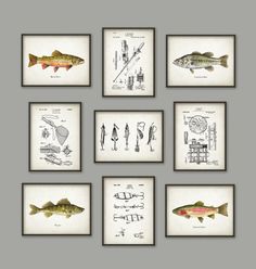 six framed drawings of different types of fish and fishing equipment, all in various shapes and sizes