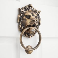 a door handle with a lion's head on it and a ring in the middle