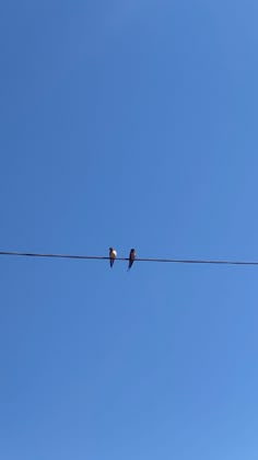 two birds sitting on an electric wire with blue sky in the backgrounnd