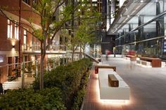 an outdoor area with benches and trees at night