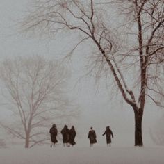 four people walking in the snow near a tree