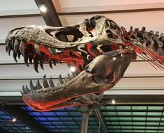 a large dinosaur skeleton with red lights on it's head