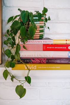 a stack of books sitting on top of a white mantle next to a potted plant