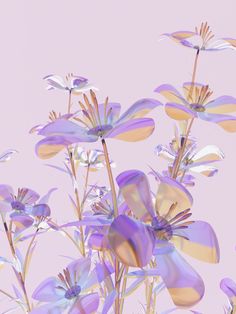 some purple flowers are in front of a light pink background and there is no image on it