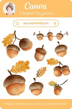 an image of some acorns and leaves on a white background with the words canna element keyword