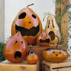 carved pumpkins with faces and mouths on display