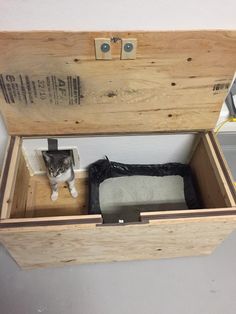 a cat sitting in an open wooden box