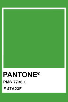 pantone's green color is shown with the words, pm 738 c