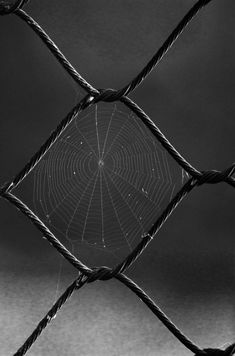 a spider web in the middle of a black and white photo behind a chain link fence