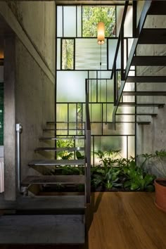 an indoor stair case with glass panels and plants