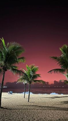 palm trees line the beach at night with red sky in background and pink hues