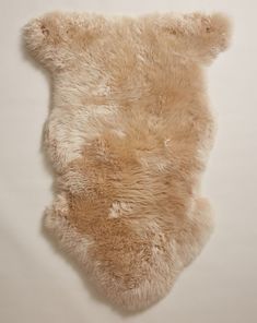 a brown teddy bear laying on top of a white wall