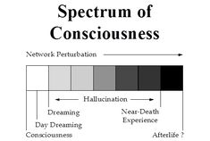 the diagram shows that there are many different types of consciousness in this image, including