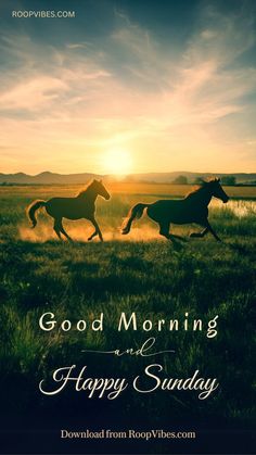 two horses running across a field with the sun setting in the background and words good morning and happy sunday