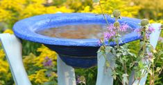 a blue bird bath sitting on top of a white chair in a garden filled with flowers