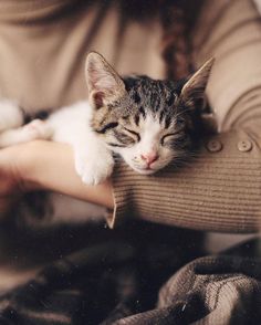 a woman holding a cat in her arms while she sleeps on top of the arm