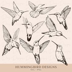 hummingbirds flying in the air with their beaks open and wings extended, sketched on