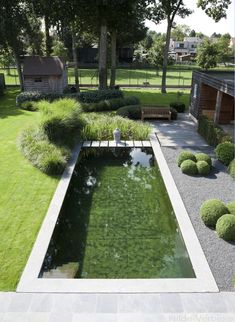 a small pond in the middle of a garden