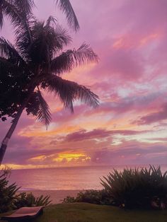 the sun is setting over the ocean with palm trees and benches in the foreground