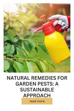 Natural Remedies for Garden Pests: A Sustainable Approach