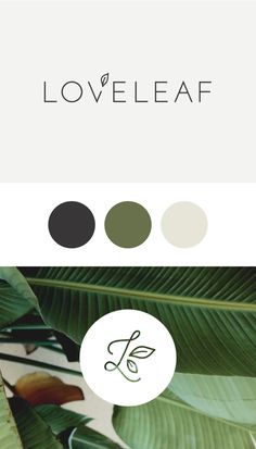 the logo for love leaf is shown on an instagramture screen, and it appears to be in color