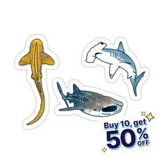 two stickers with different types of sharks and shark finks on the back of them